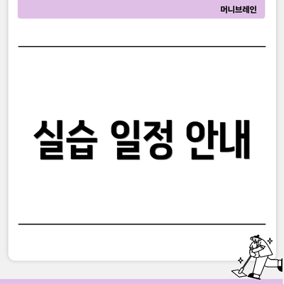 실습 일정 안내