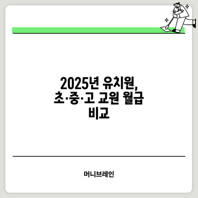 2025년 유치원, 초·중·고 교원 월급 비교