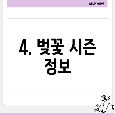4. 벚꽃 시즌 정보