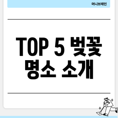 TOP 5 벚꽃 명소 소개