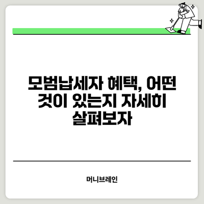 모범납세자 혜택, 어떤 것이 있는지 자세히 살펴보자