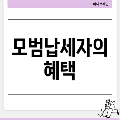 모범납세자의 혜택
