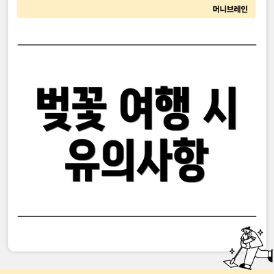 벚꽃 여행 시 유의사항
