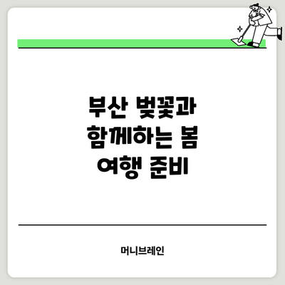 부산 벚꽃과 함께하는 봄 여행 준비