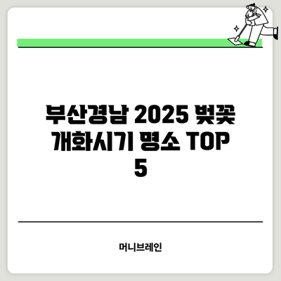 부산경남 2025 벚꽃 개화시기 명소 TOP 5