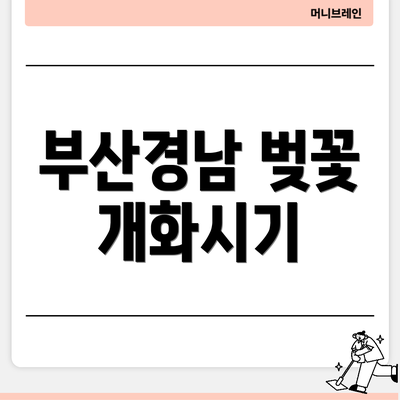 부산경남 벚꽃 개화시기