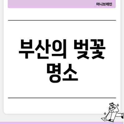 부산의 벚꽃 명소
