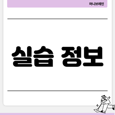 실습 정보