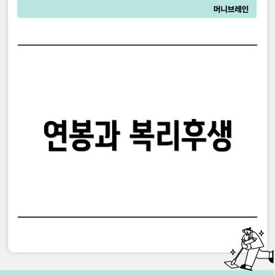 연봉과 복리후생