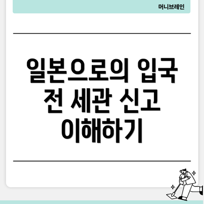 일본으로의 입국 전 세관 신고 이해하기