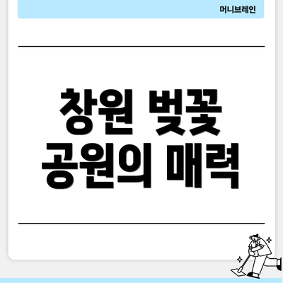 창원 벚꽃 공원의 매력