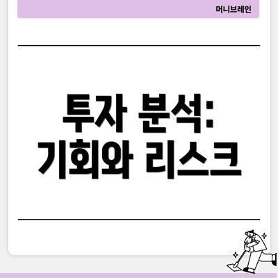 투자 분석: 기회와 리스크