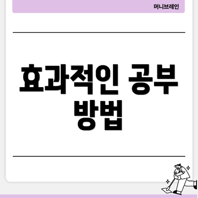 효과적인 공부 방법
